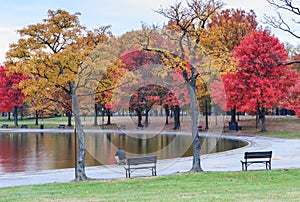 Washington DC Constitution Gardens in Autumn