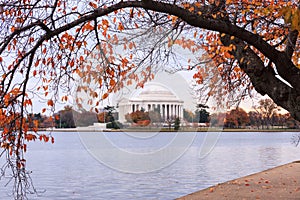 Washington DC Jefferson Memorial in Autumn