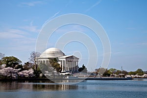 Washington DC Jefferson Memorial Blossoms