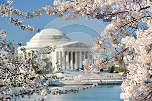 Washington DC - Jefferson Memorial in spring