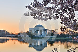 Washington DC - Jefferson Memorial in spring