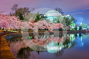 Washington DC at the Jefferson Memorial During Spring Season