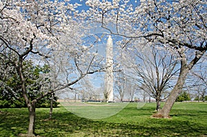 Washington DC in spring