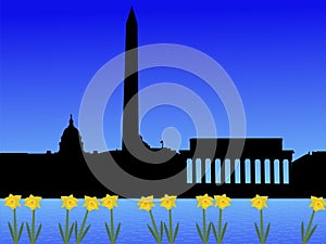 Washington DC in spring