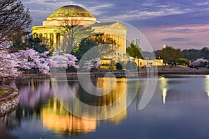 Washington DC in Spring