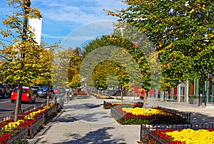 Washington DC street in early autumn, USA.