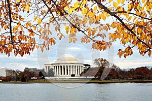 Washington DC - Thomas Jefferson Memorial in Autum photo