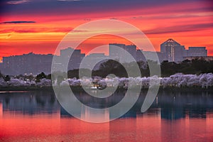 Washington, DC at the Tidal Basin with the Arlington Skyline