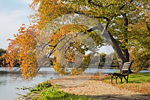 Washington DC Tidal Basin in Autumn