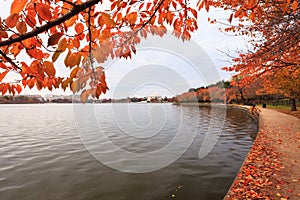Washington DC Tidal Basin in Autumn photo