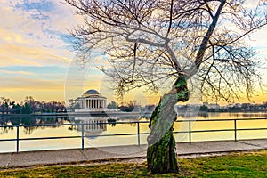 Washington, DC at the Tidal Basin and Jefferson Memorial