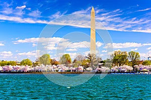 Washington DC at the Tidal Basin photo