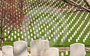 Washington DC / United States - April 03 2019: Headstones at Arlington National cemetery