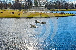 Washington DC, USA. Constitution Gardens.