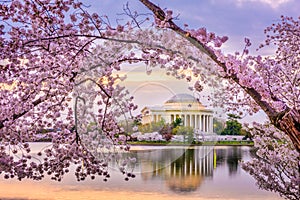 Washington DC, USA at the Jefferson Memorial