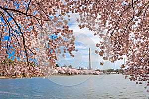 Washington DC, USA in Spring