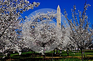 Washington, DC: The Washington Monument