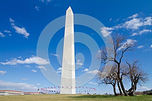 Washington DC, Washington Monument in early spring