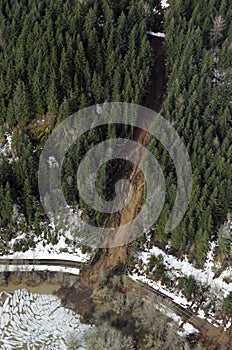 Washington Forest Mudslides