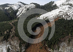 Washington Forest Mudslides