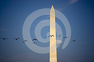 Washington Monument