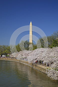 Washington Monument