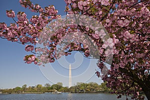 Washington Monument