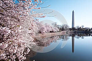 Washington Monument