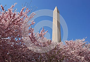 Washington monument photo