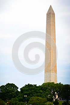 Washington Monument Behind Tree Line