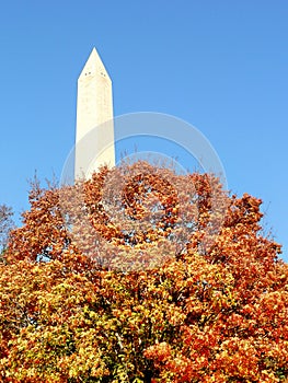 Washington Monument in fall