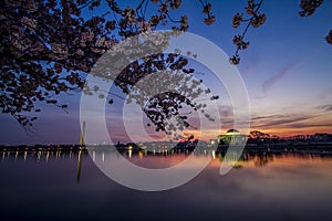 Washington Monument and Jefferson Memorial from Across the Tidal Basin at Sunrise during the Cherry Blossom Festival