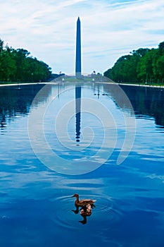 Washington Monument morning reflecting pool