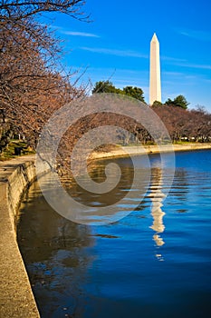 Washington monument reflection