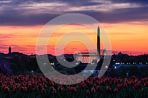 Washington monument sunset