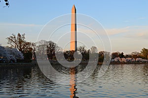 Washington Monument at Sunset