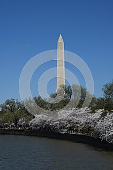The Washington Monument from the Tidal Basin
