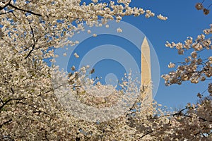 Washington Monument, Washington, DC