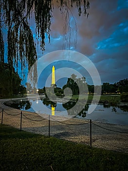 Washington Monument and Willow trees at dusk