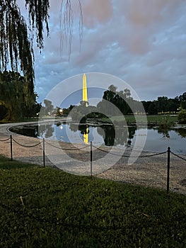 Washington Monument and Willow trees at dusk