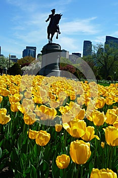 Washington Park in Boston Common photo