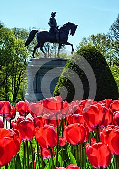 Washington Park in Boston Common photo