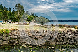 Washington Park Summer