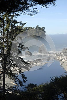 Washington State coast