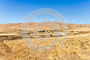 Washington state dry climate area landscape with windpower turbines and blue sky photo