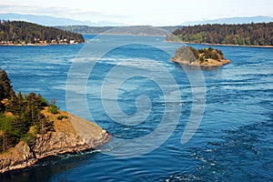 Washington State Landscape