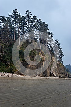 washington state shore line and sand in summer