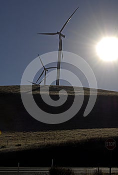 WASHINGTON  STATE/USA _WIND TRIBUNES PARK