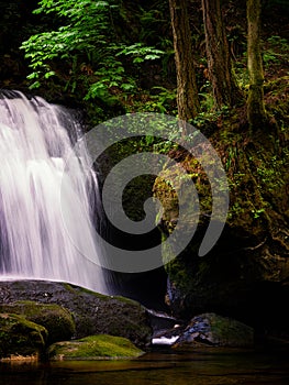 Washington State waterfall with mossy rocksand three trees