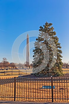 Washington Monument obelisk with the National Christmas Tree